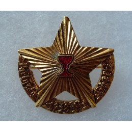 Odznak Partizánska Brigáda...