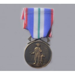 Medaila 10. streleckého...