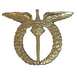 Letecký odznak